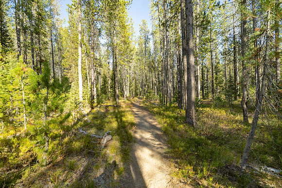 Union Falls Trail
