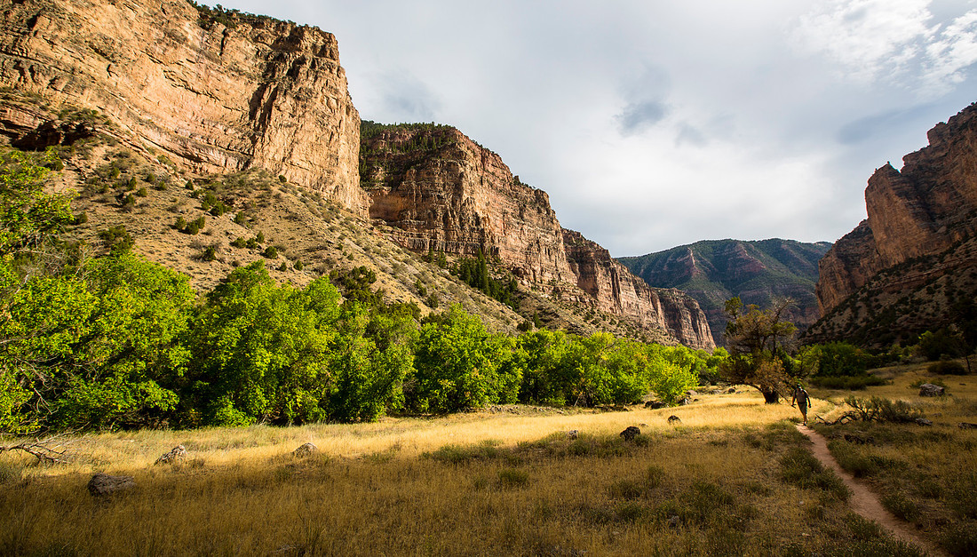 Jones Hole Creek Hike