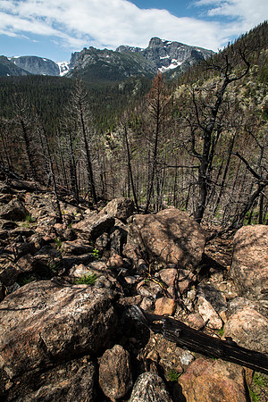 Mouth of Forest Canyon