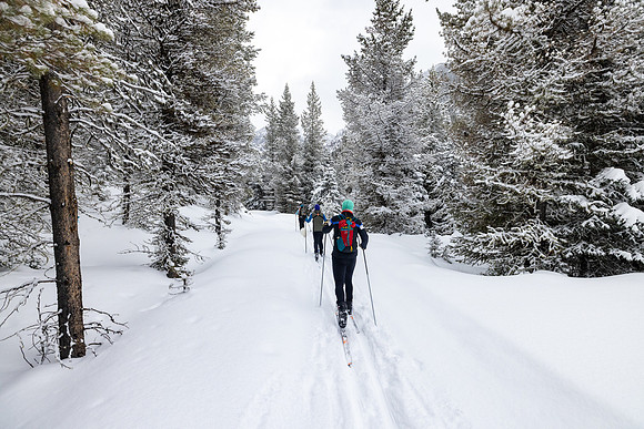 Custer Gallatin National Forest Maxey Cabin: skiing into the cab