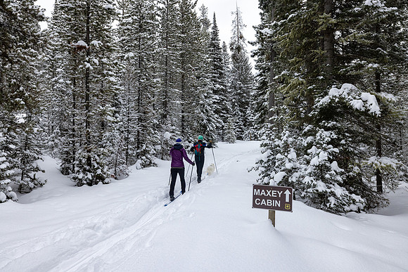 Custer Gallatin National Forest Maxey Cabin: skiing into the cab