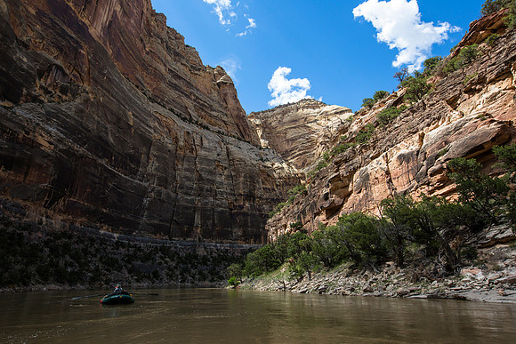 Rafting in Lower Yampa Canyon (3)