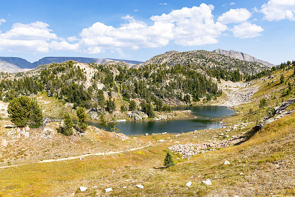 CGNF, AB Wilderness: Trail near Kidney Lake (2)