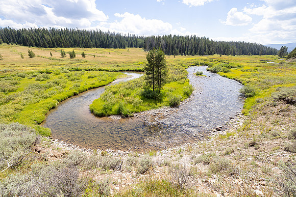 Fan Creek Trail: Fan Creek oxbows