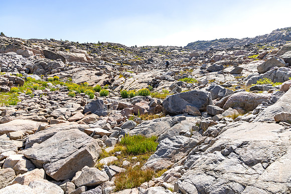 CGNF, AB Wilderness: Big Butte to east pass (1)