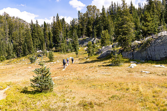 CGNF, AB Wilderness: Trail Lake to Wright Lake