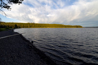 Morning light on the south shore of Shoshone Lake