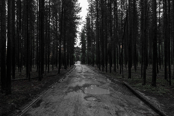 Bowman Lake Road