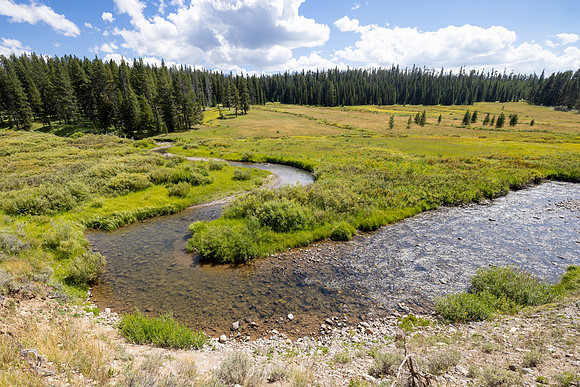 Fan Creek Trail: Fan Creek oxbows (2)