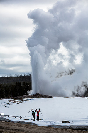 Old Faithful Spectators