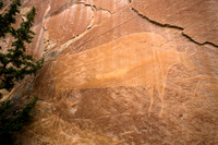 Bison Petroglyph