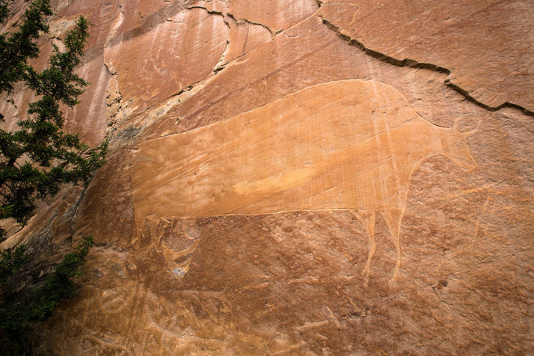 Bison Petroglyph