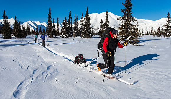 Cross-country Skiing in Denali
