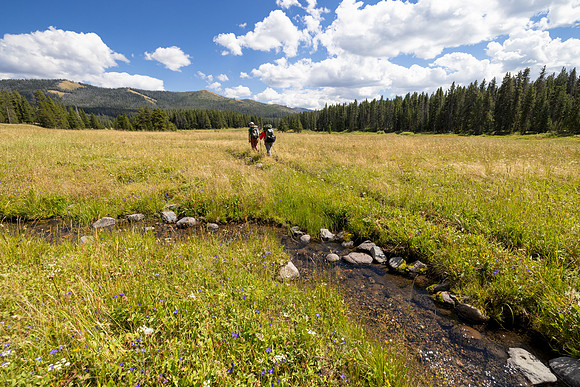 Fan Creek Trail: Hikers cross a Fan Creek tributary