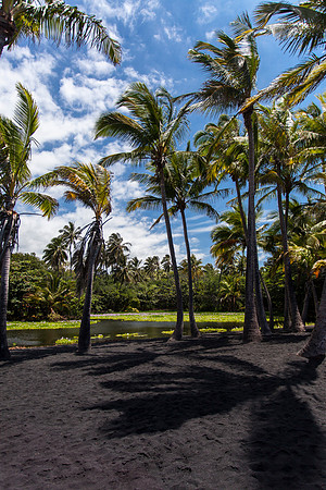 Punalu'u Beach