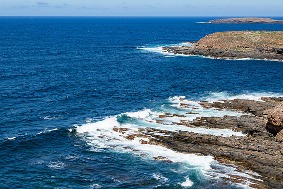 20190315-Australia-1165