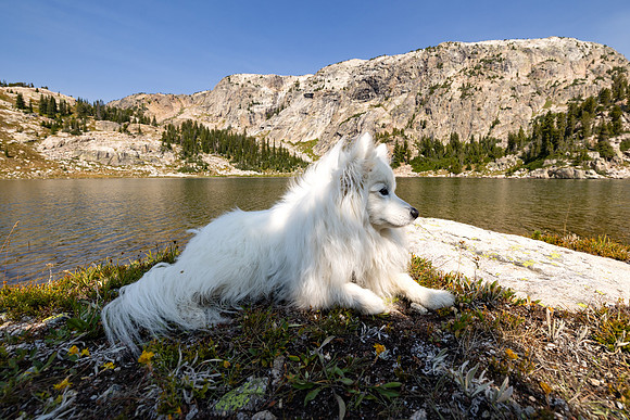 CGNF, AB Wilderness: Castle Lake (2)
