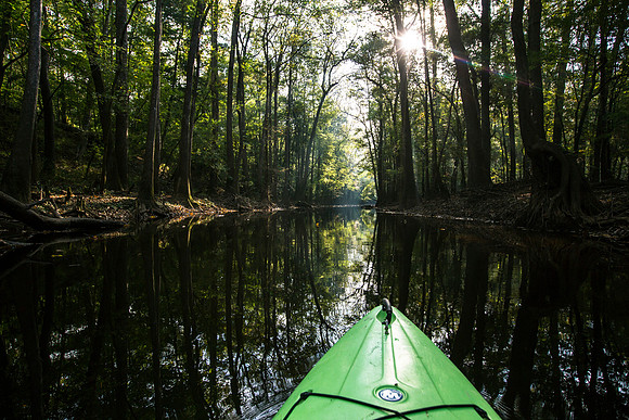 Kayaking Cedar Creek