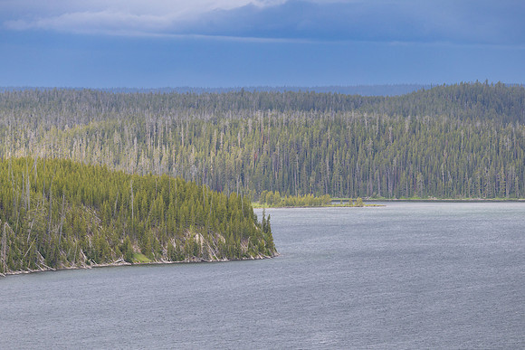 Moose Bay seen from Delacy Creek Trail