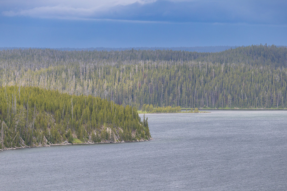 Moose Bay seen from Delacy Creek Trail