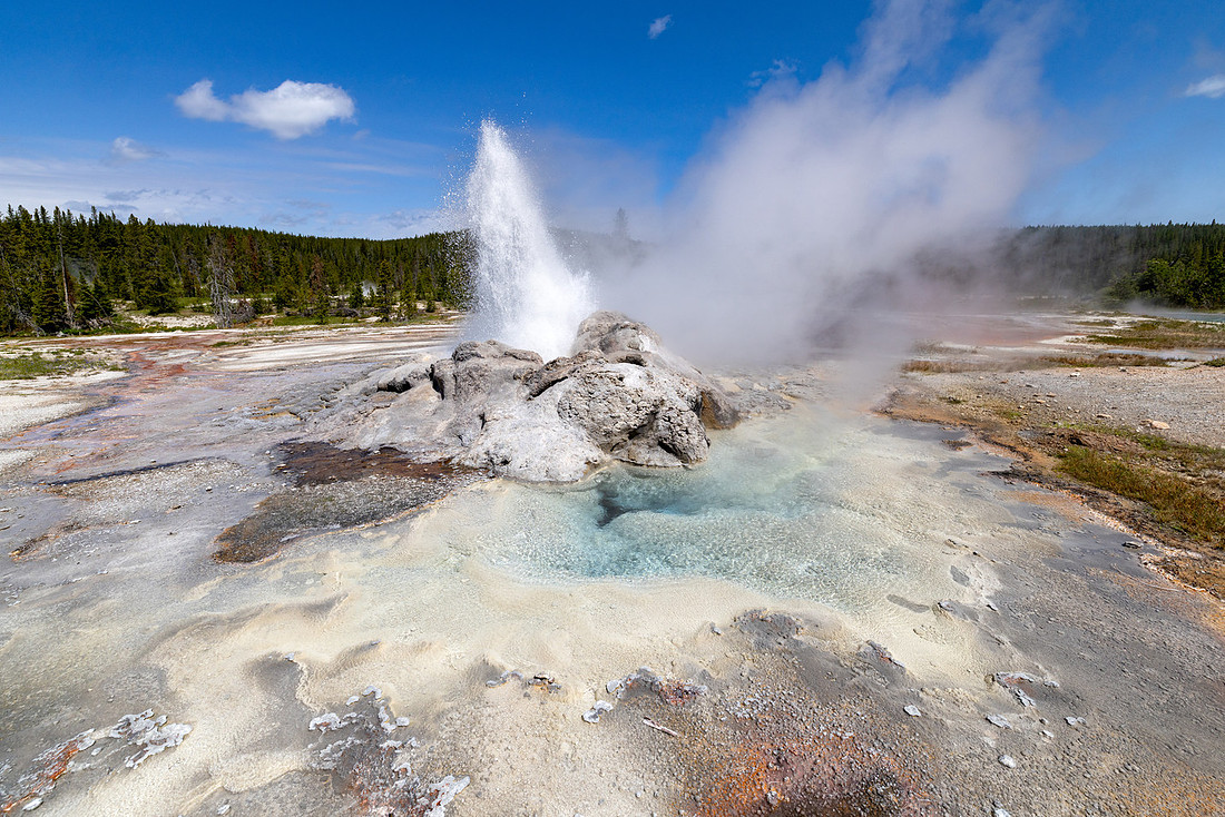 Shoshone Geyser Basin: Minute Man Geyser eruption and Minute Man