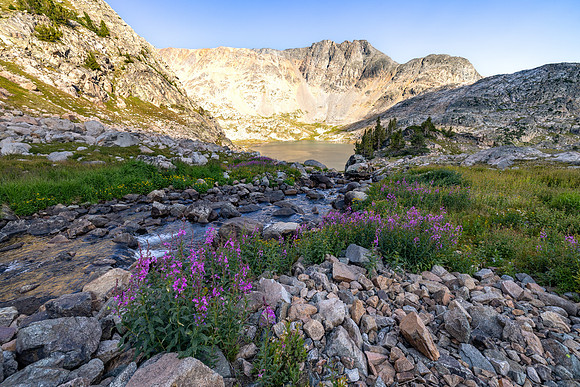 CGNF, AB Wilderness: Copepod Lake to Flat Rock Lake (12)
