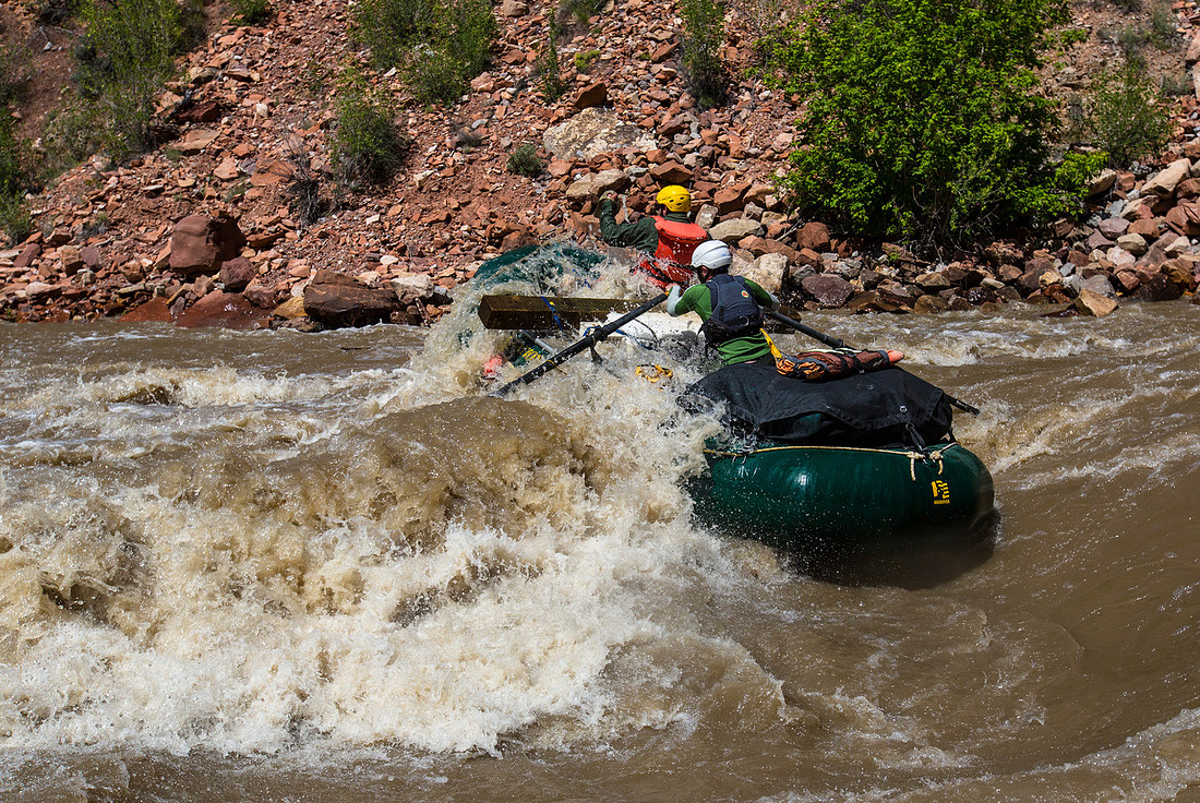 Moonshine Rapid