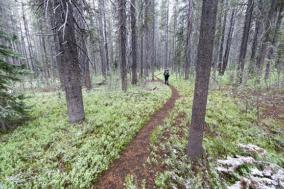 Backpacker in summer snow storm along the North Shore Shoshone L