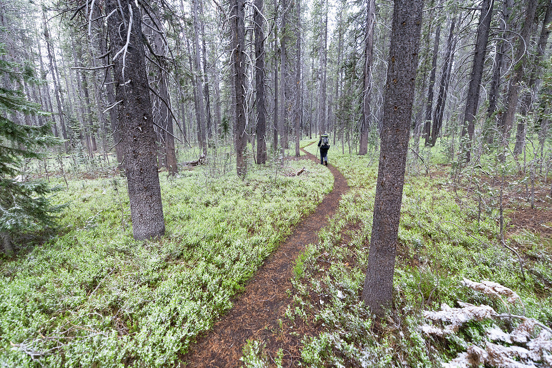 Backpacker in summer snow storm along the North Shore Shoshone L