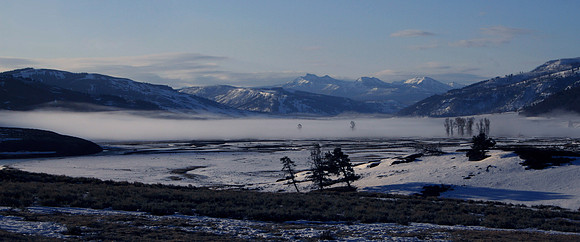 Lamar Valley