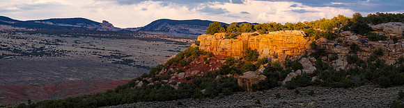 Cream-colored Rocks