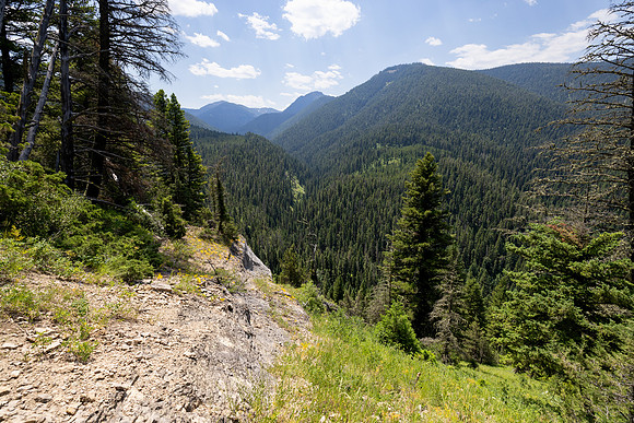 Custer Gallatin NF Mystic Lake Cabin: Bozeman Creek Canyon