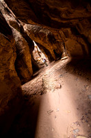Joint Trail