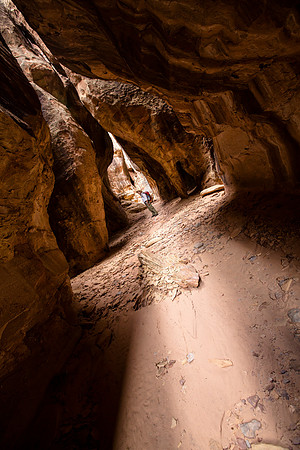Joint Trail