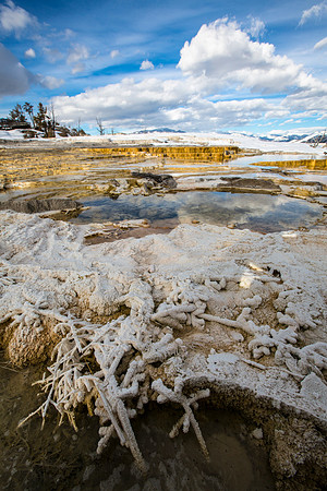 Upper Terrace Mammoth Hotspring