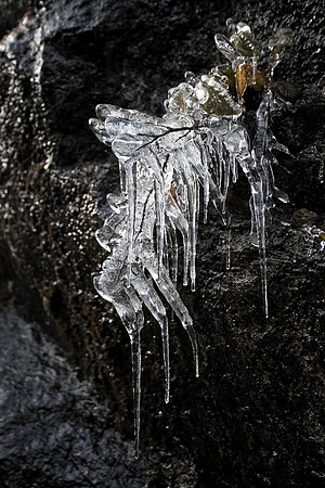 Frozen