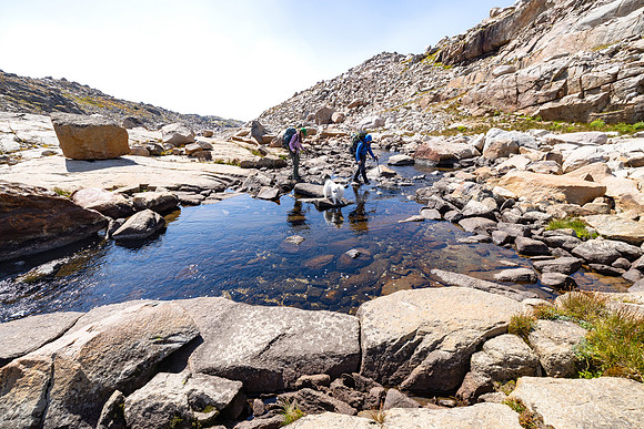 CGNF, AB Wilderness: northeast draining above Big Butte Lake (9)