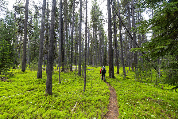Backpacker along the North Shore Shoshone Lake Trail (3)