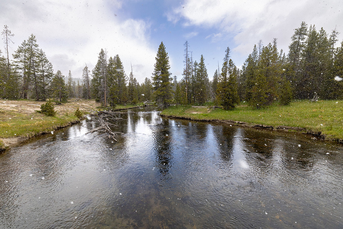 Summer snow flurry on the Firehole River