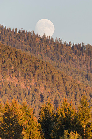 Moonrise over the Mountains Portrait
