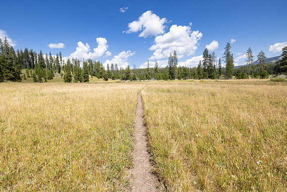 Fan Creek Trail: meadow views