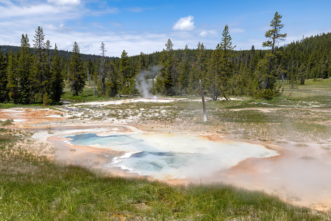 Shoshone Geyser Basin: Little Giant Geyser eruption with steamy
