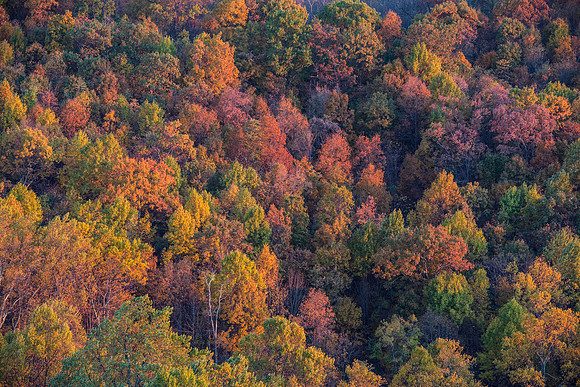 shenandoah
