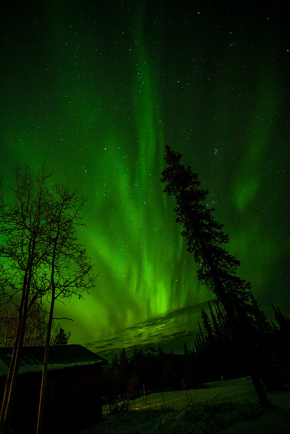C-camp Aurora