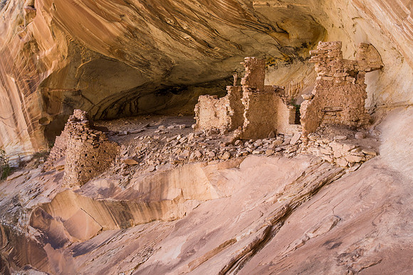 bears ears