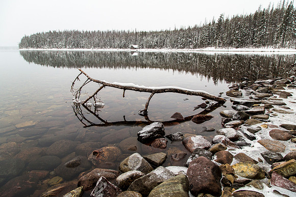 Lake McDonald Along Rocky Point Trail