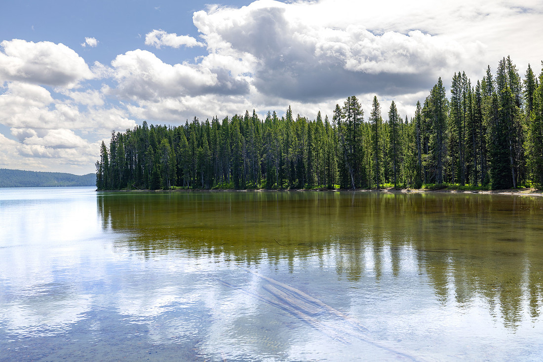Views of the lake from the North Shore Shoshone Lake Trail
