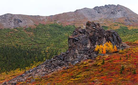 denali