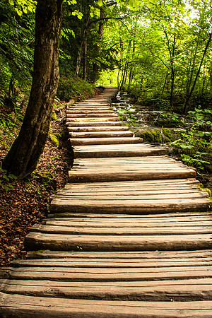Plitvice Lakes Pathway