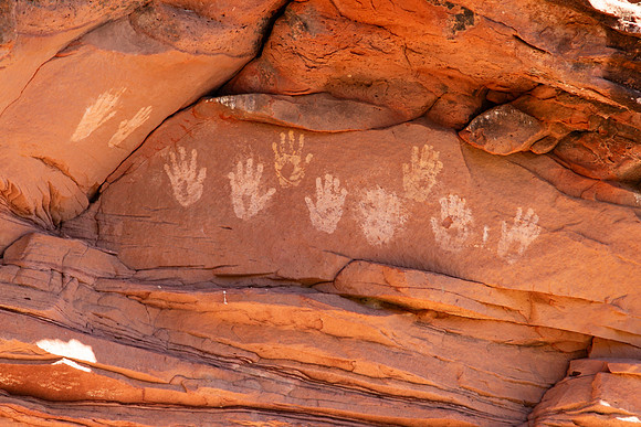 bears ears